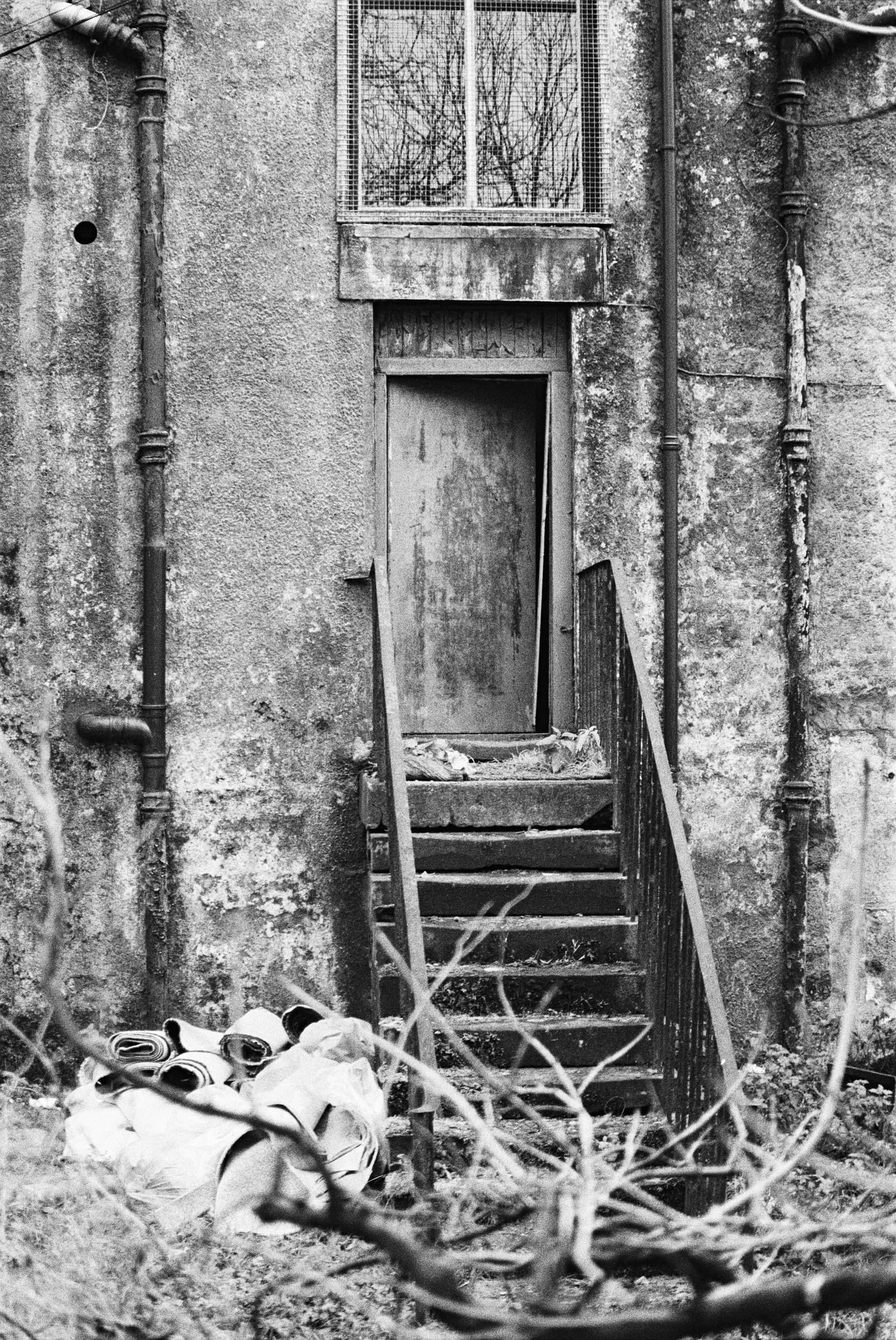 abandoned staircase, crumbling stone staircase, weathered wooden door, 2K Phone Wallpaper