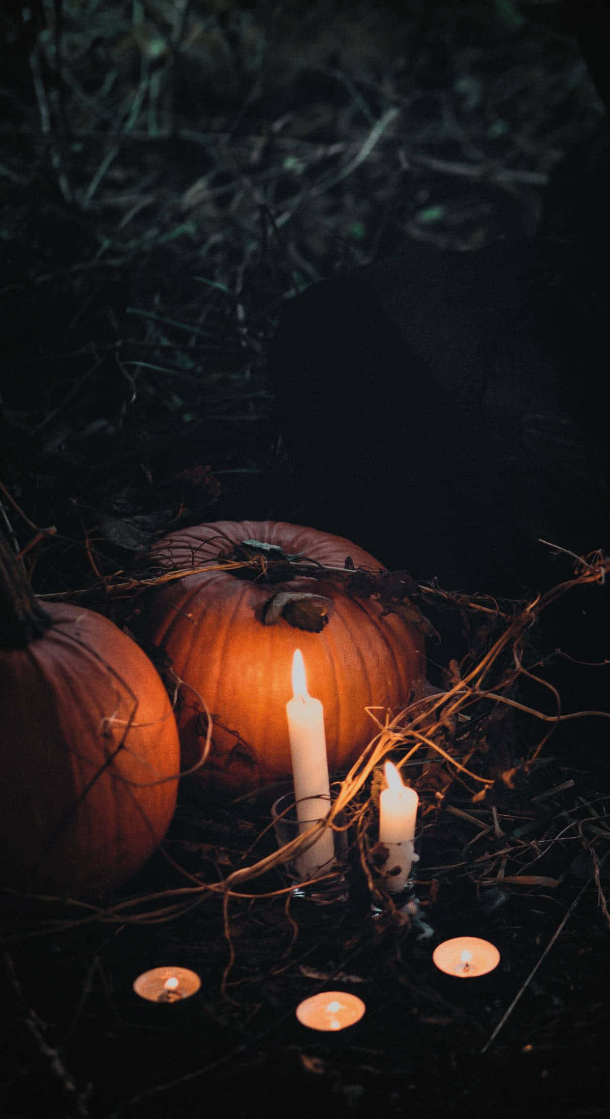 Grunge Halloween, pumpkins, candles, Full HD Phone Wallpaper