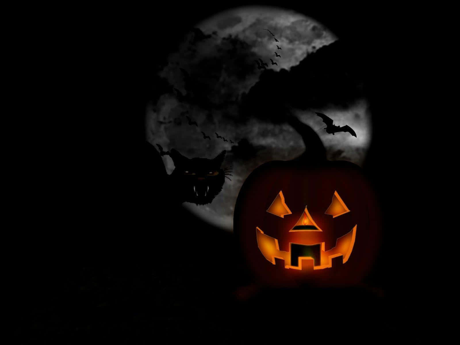 jack-o'-lantern, full moon, bats, HD Desktop Wallpaper