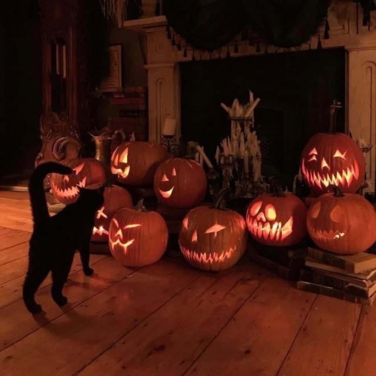black cat, glowing jack-o-lanterns, dimly lit vintage living room, HD Desktop Wallpaper
