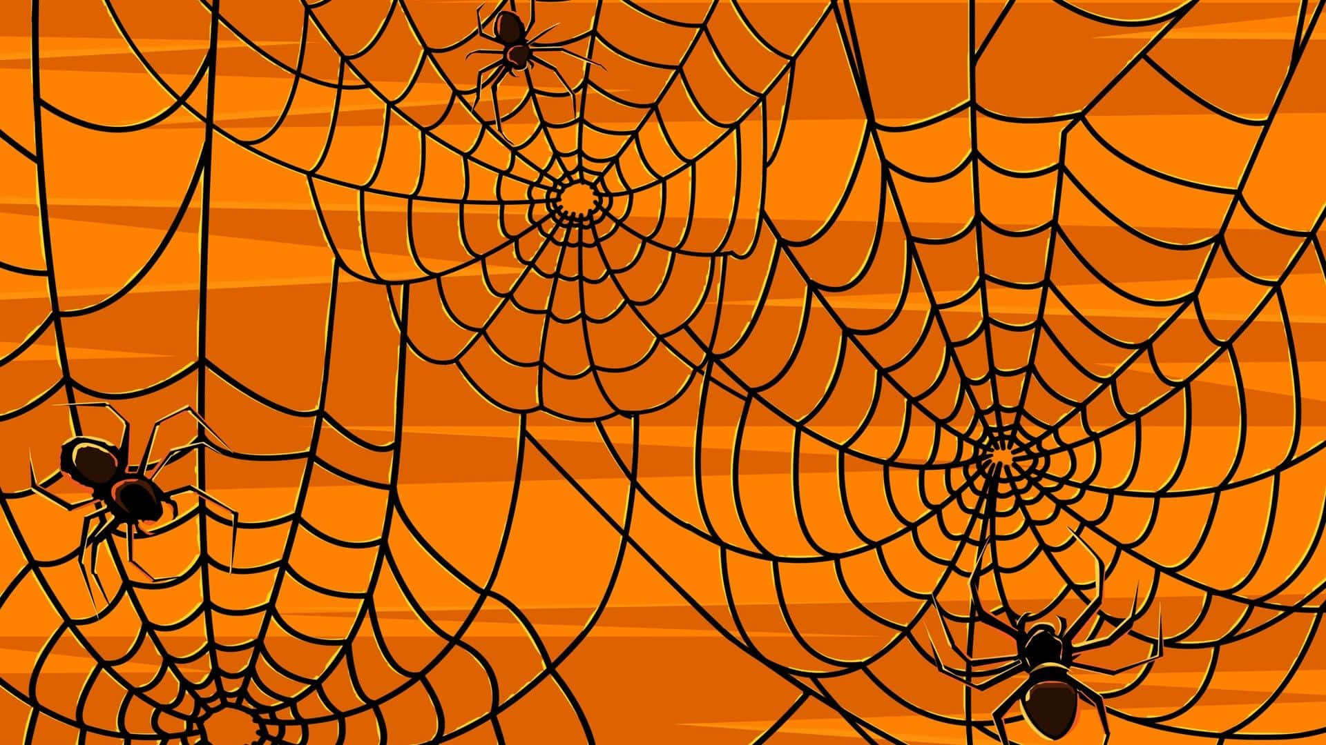 Halloween, black spiderwebs, spiders, Full HD Desktop Wallpaper