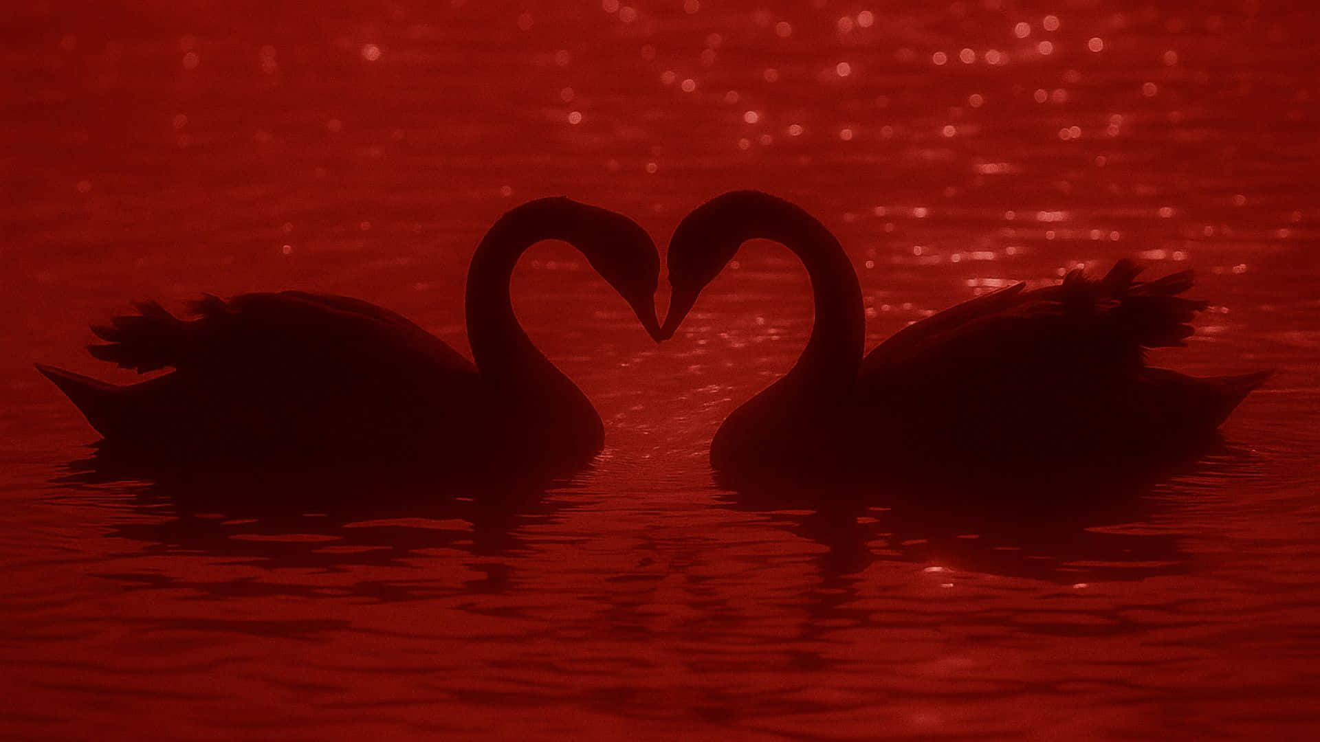 Grunge Lovecore, swan silhouette, heart shape, Full HD Desktop Wallpaper