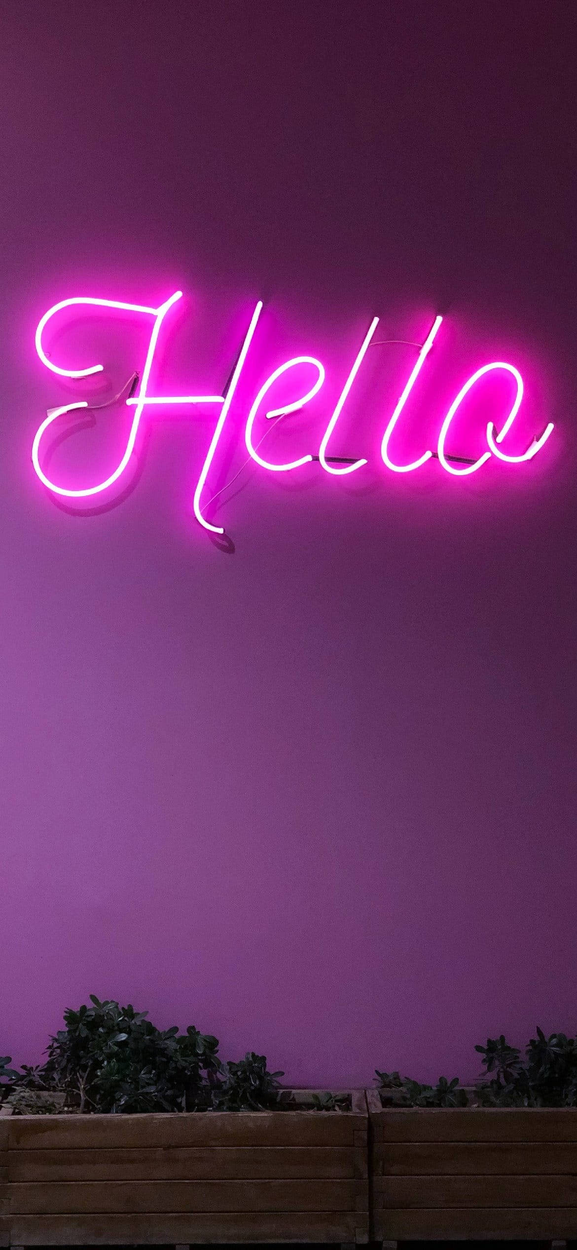 Hello, pink neon sign, purple wall, Full HD Phone Wallpaper