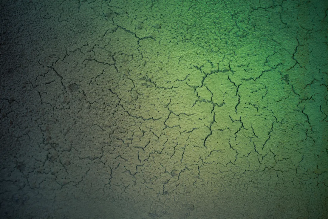 Grunge Texture