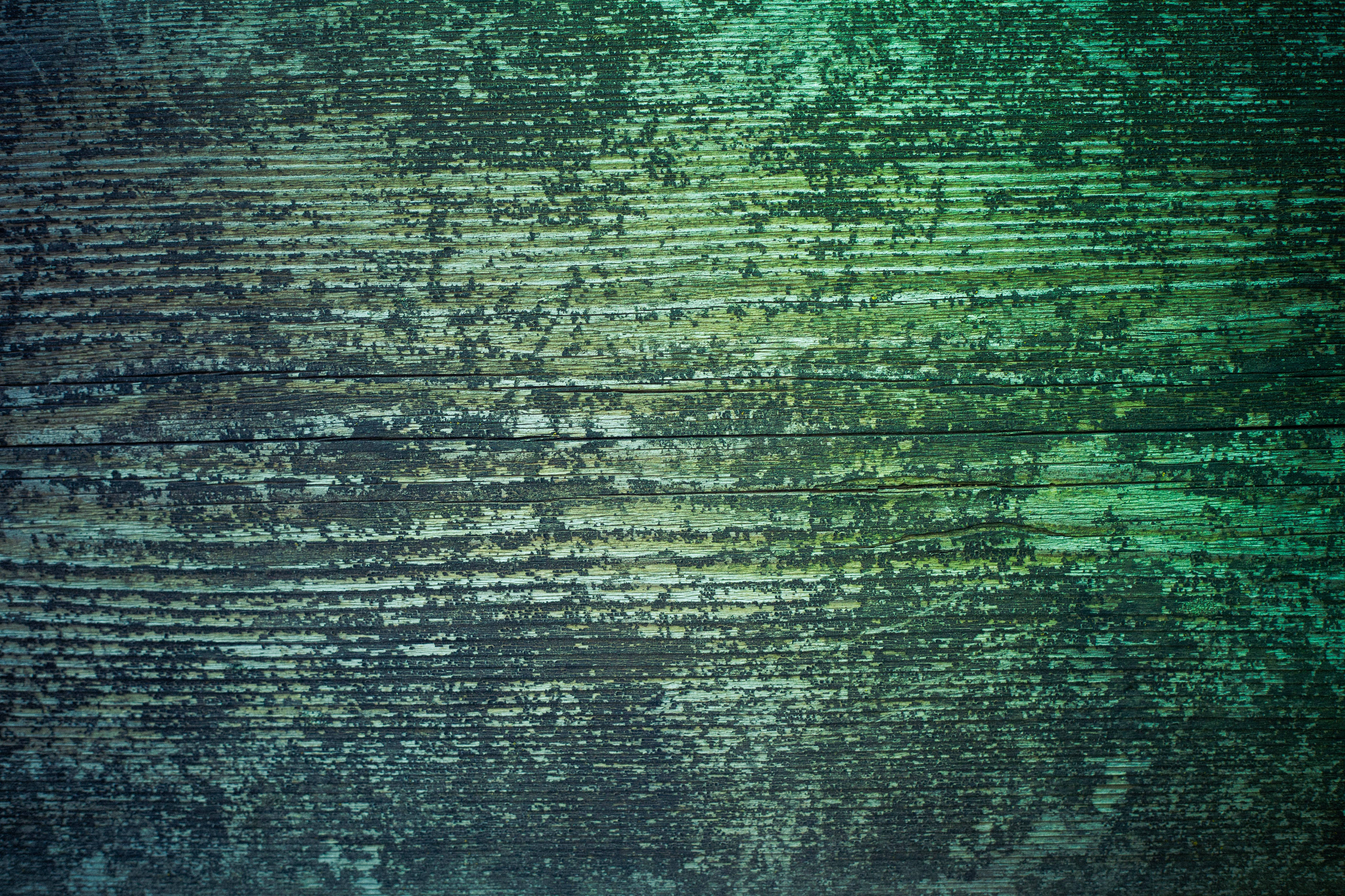 green wood surface, weathered wooden planks, peeling green paint, 5K Desktop Wallpaper