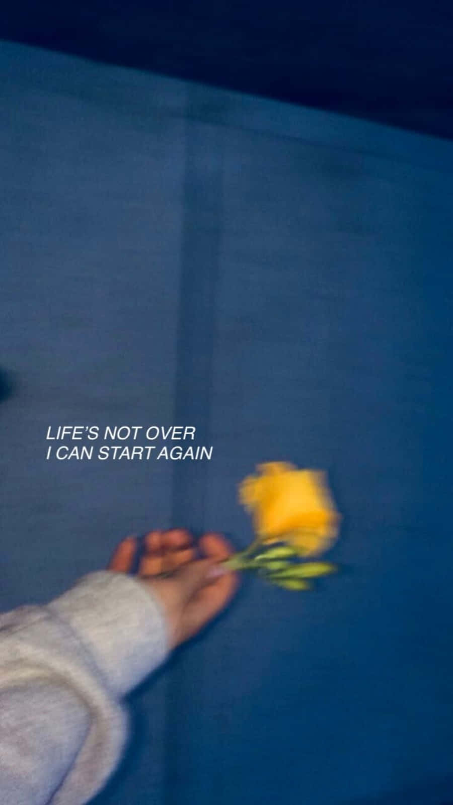 yellow rose, deep blue wall, life's not over i can start again, HD Phone Wallpaper