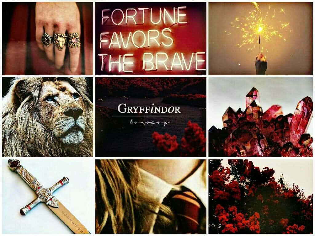 Gryffindor, lion, Gryffindor banner, SD Desktop Wallpaper
