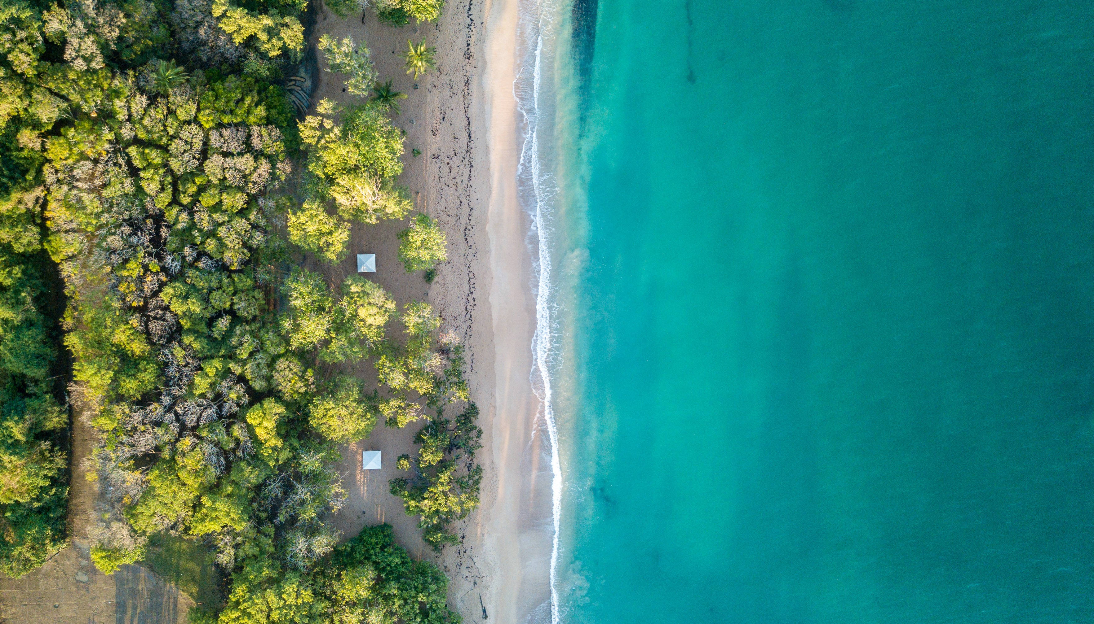 Guadeloupe, tropical beach, turquoise waters, 2K Desktop Wallpaper