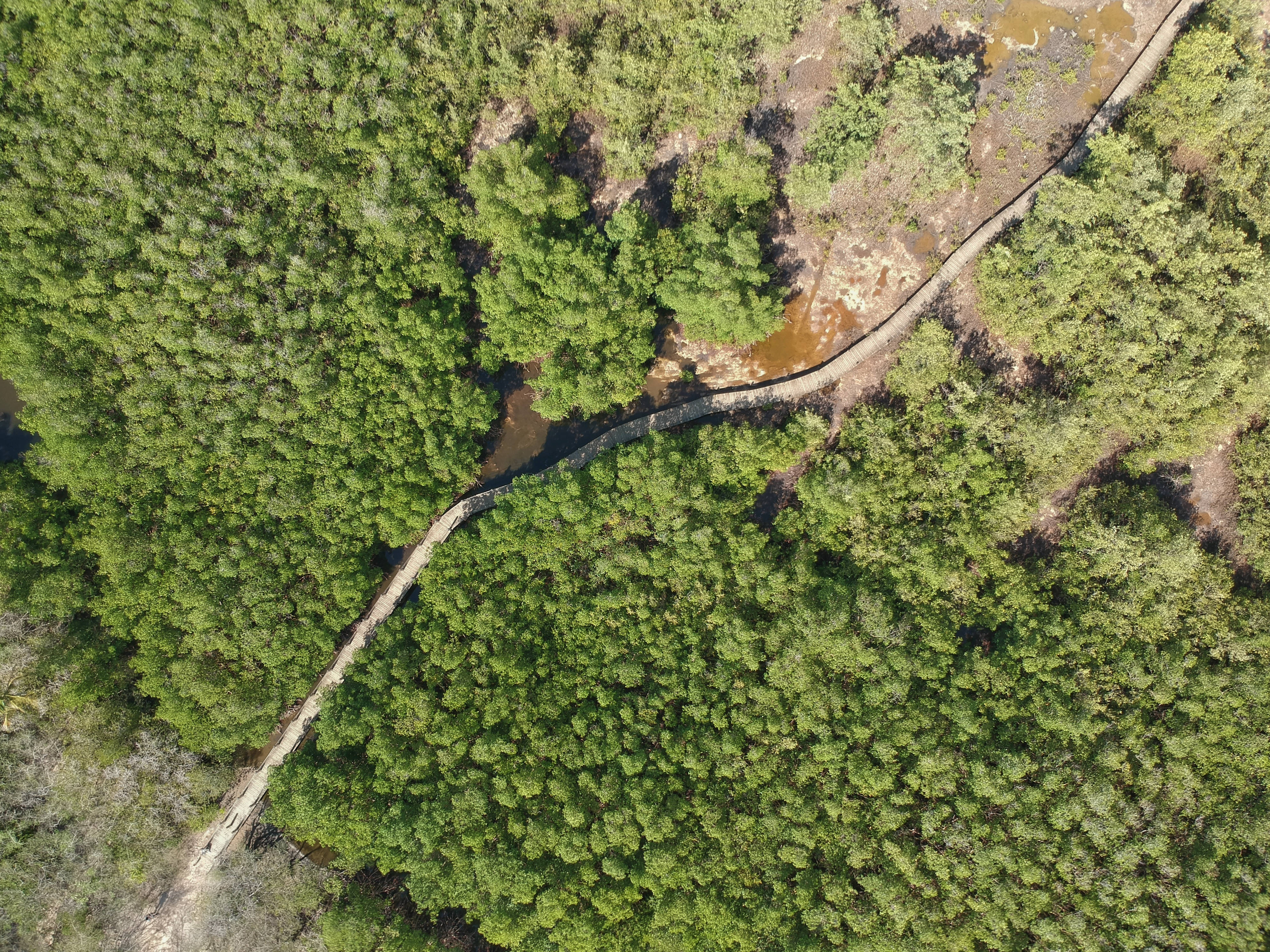 Guadeloupe, forest, aerial view, 4K Desktop Wallpaper