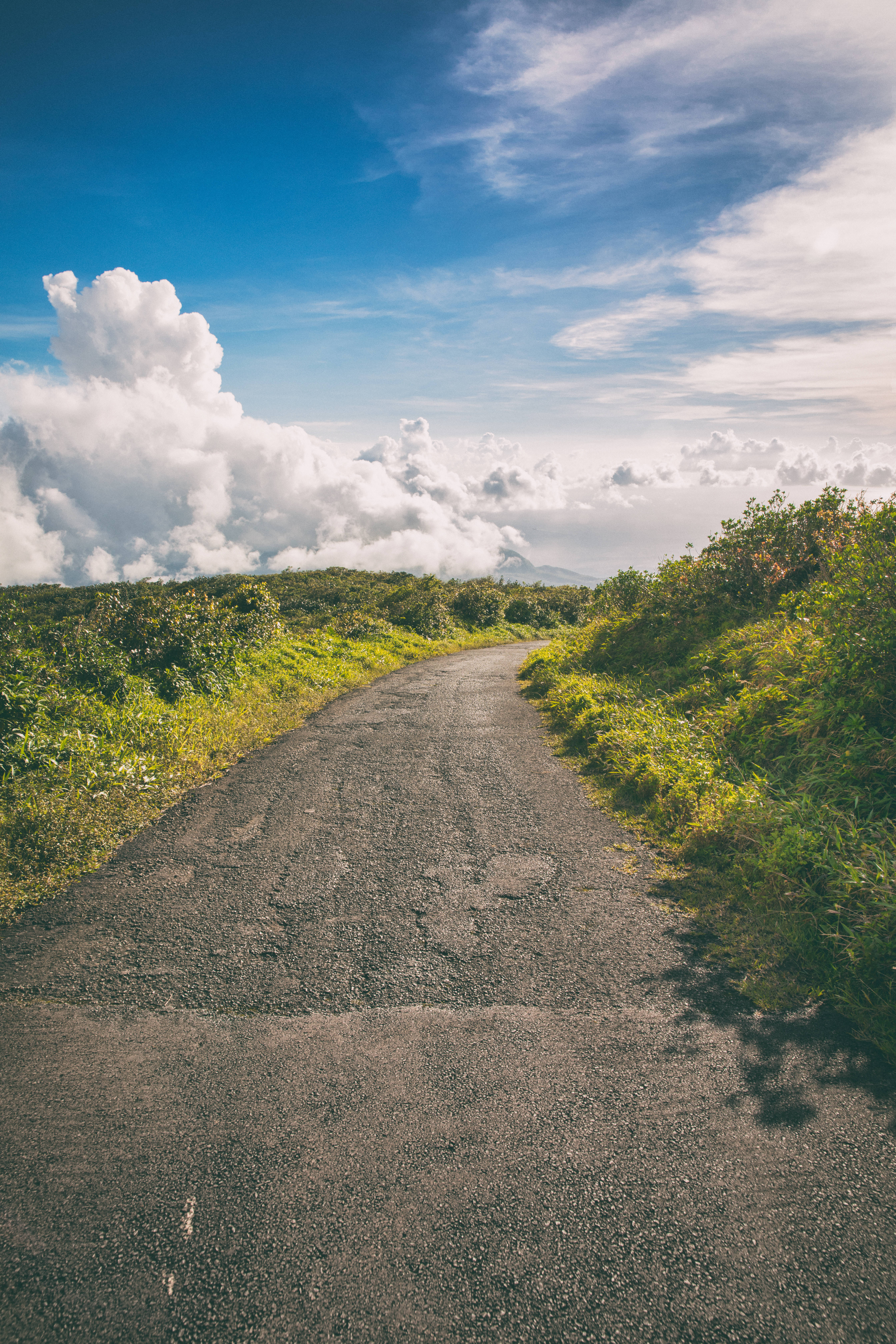 Guadeloupe, winding asphalt road, lush green hills, 5K Phone Wallpaper