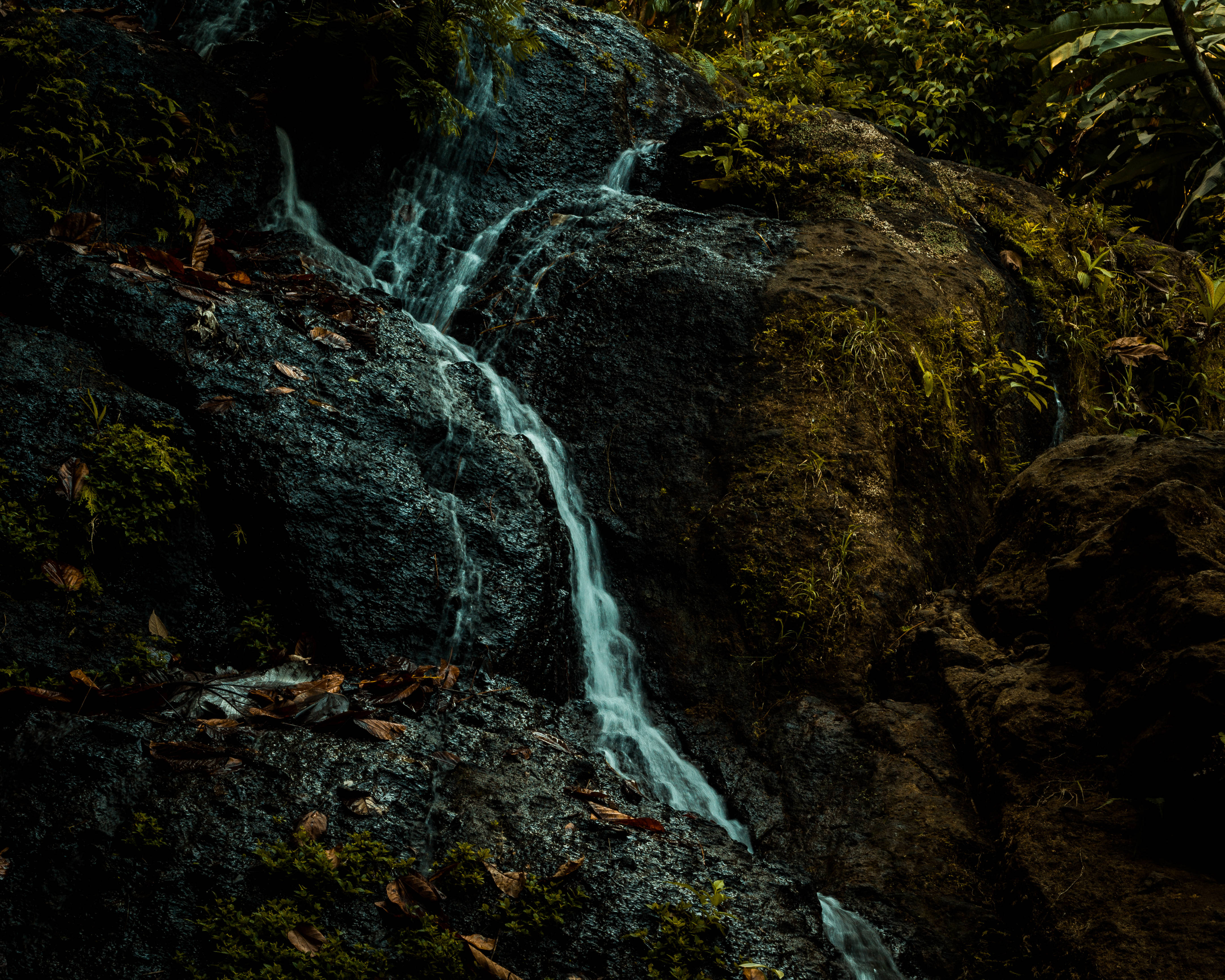 Guadeloupe, hiking trail, waterfall, 4K Desktop Wallpaper