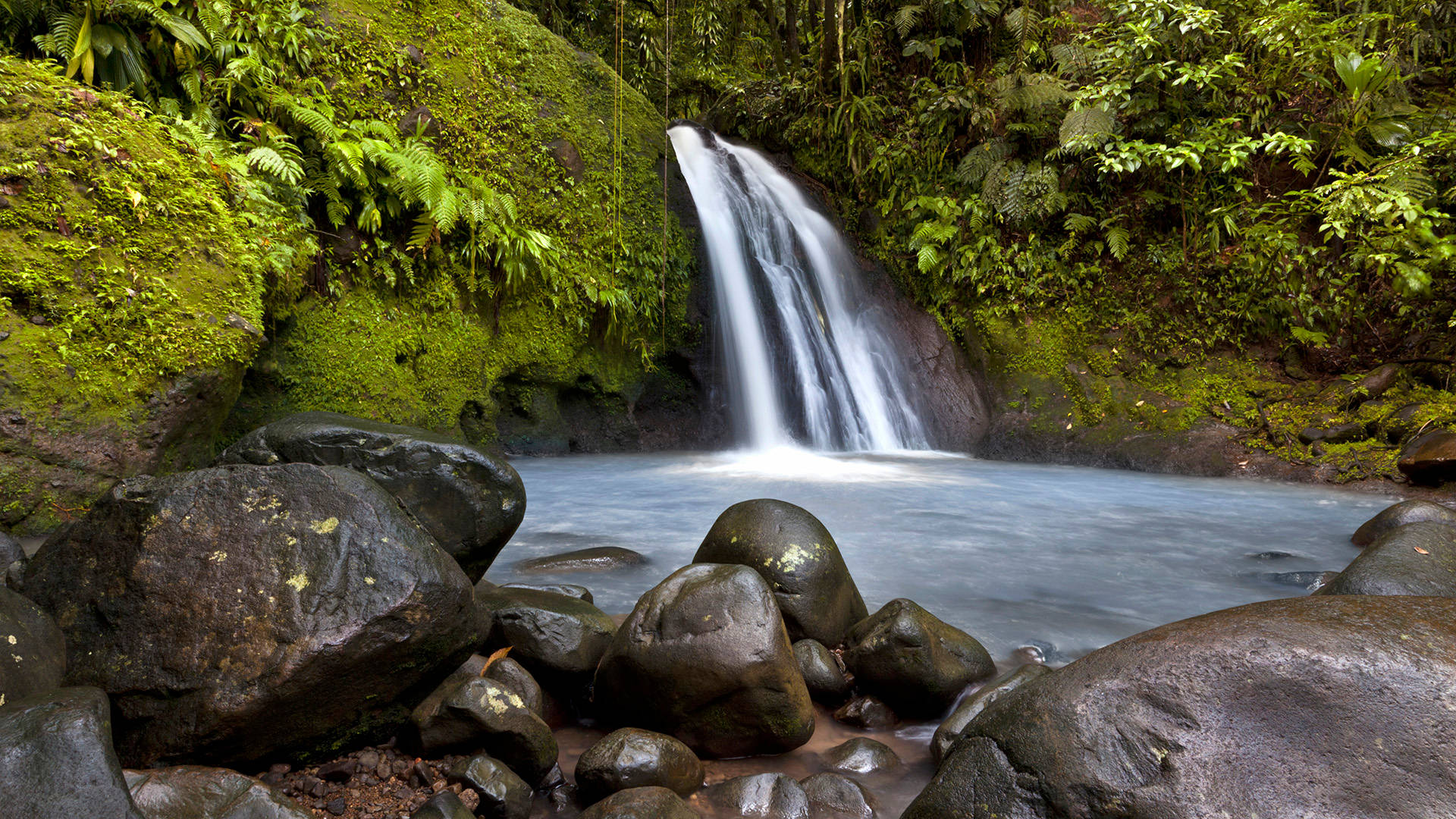 Guadeloupe, cascading waterfalls, mossy rocks, Full HD Desktop Wallpaper