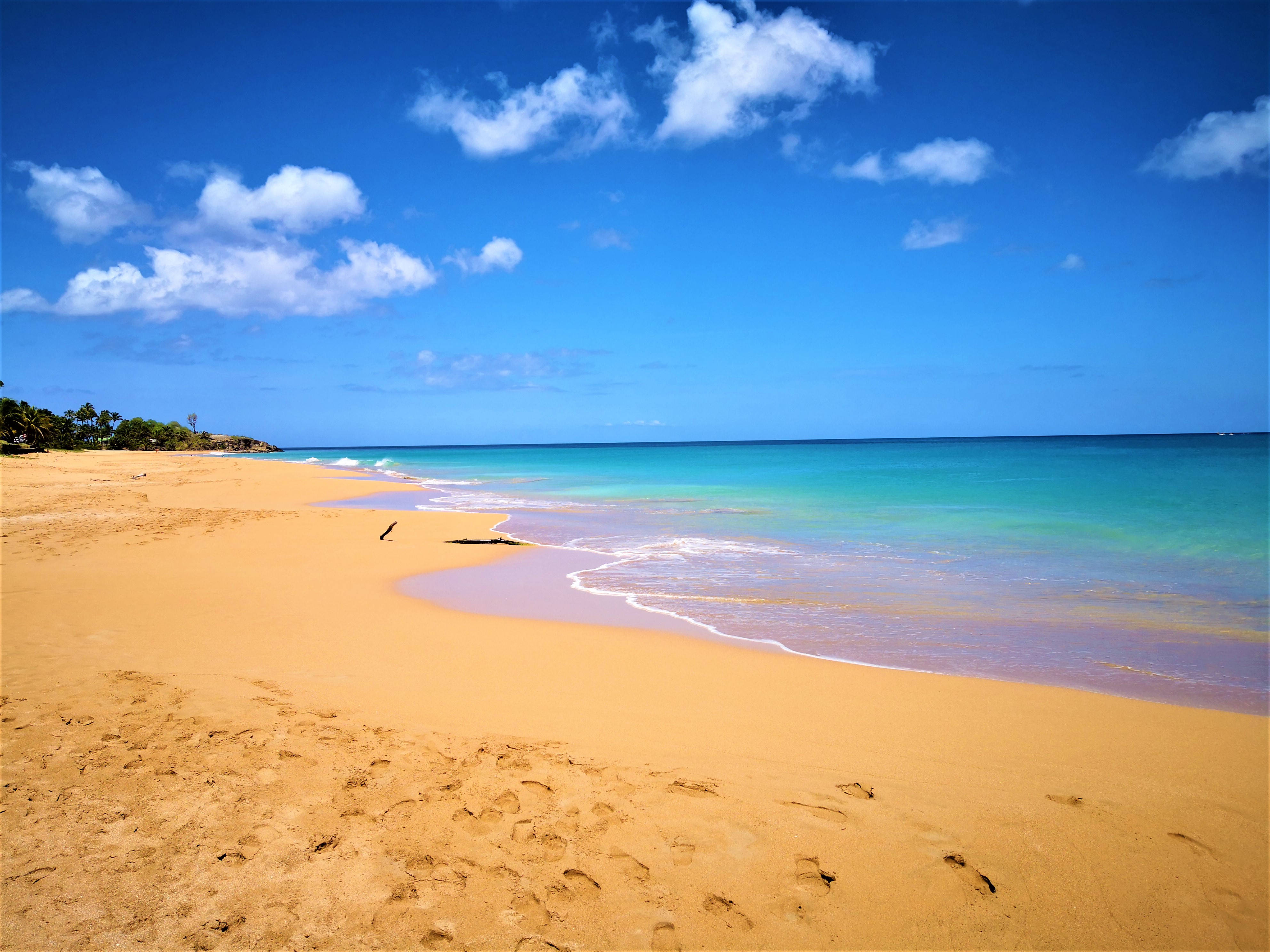 Guadeloupe, white sand beach, golden sand, 4K Desktop Wallpaper