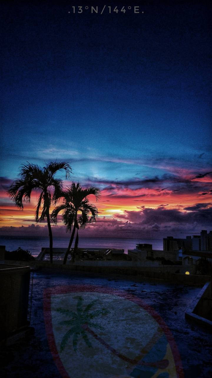 Dusk Guam, palm trees, vibrant sunset, HD Phone Wallpaper