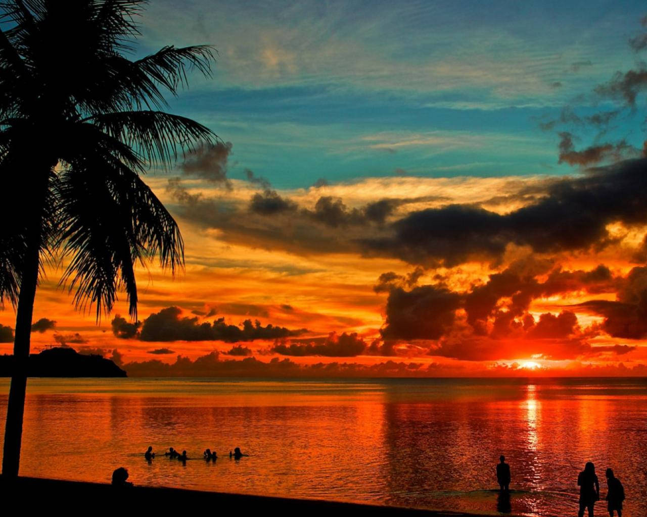 Guam, sunset, palm tree, HD Desktop Wallpaper