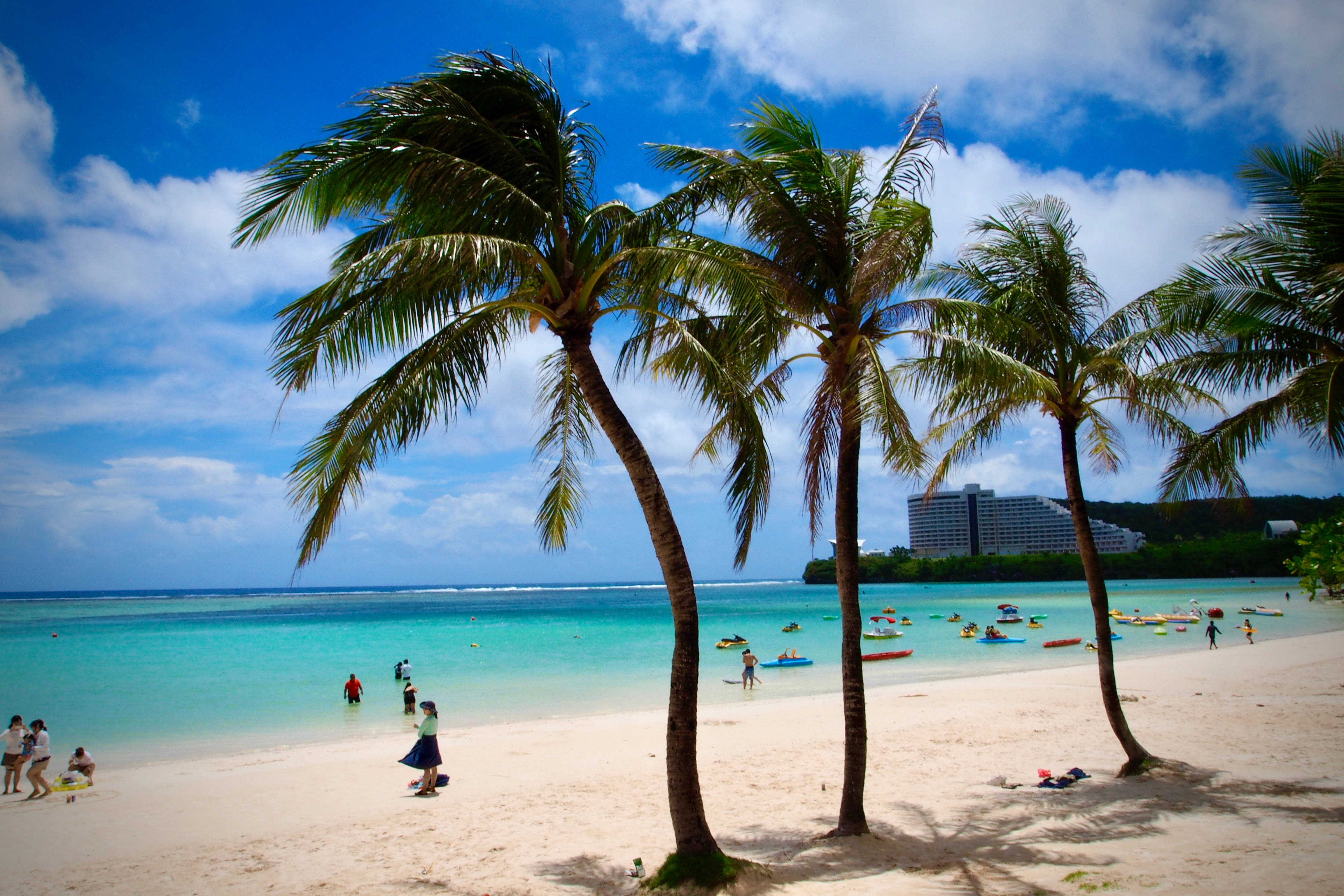 palms, beach, Guam, 4K Desktop Wallpaper