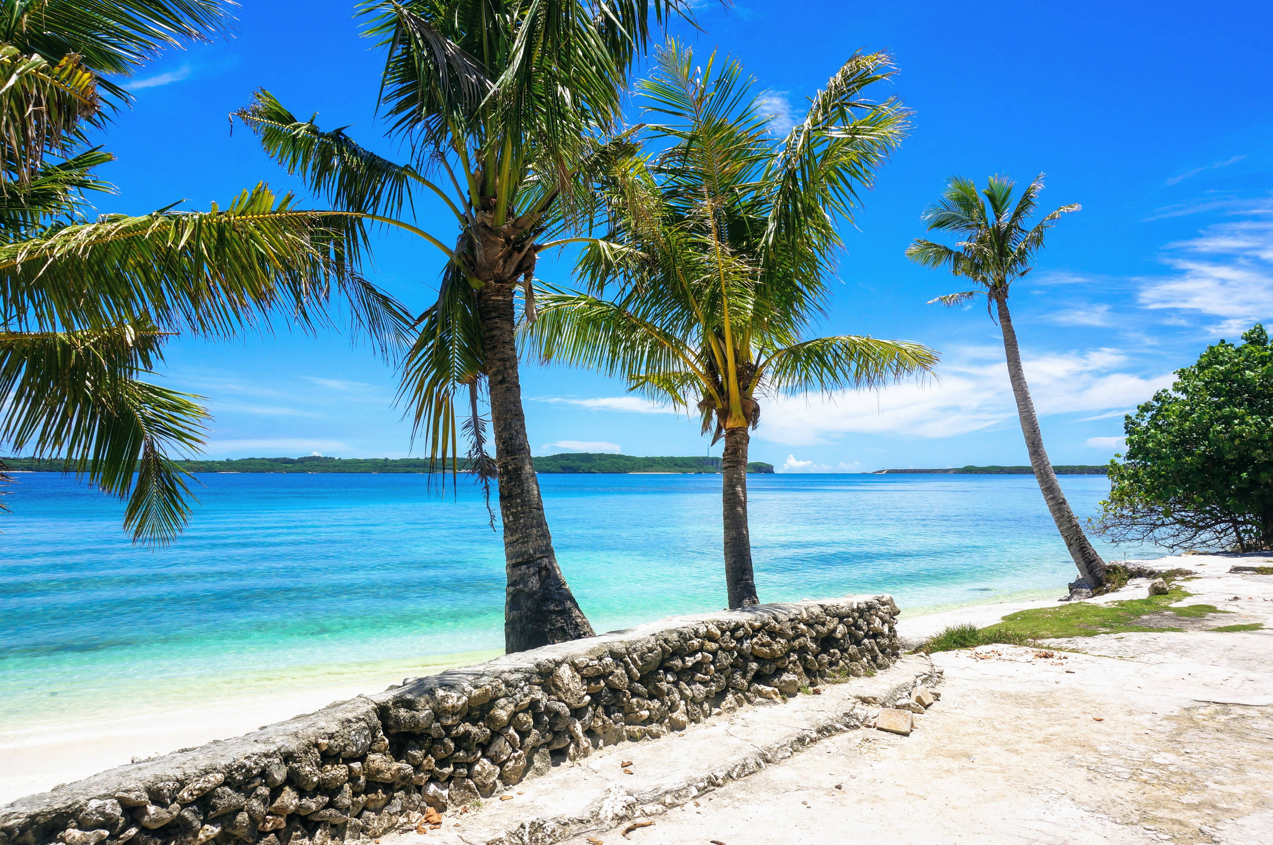 Guam, tropical beach, palm trees, 4K Desktop Wallpaper