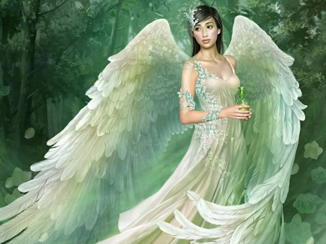 Guardian Angels, white wings, lush green forest, SD Desktop Wallpaper