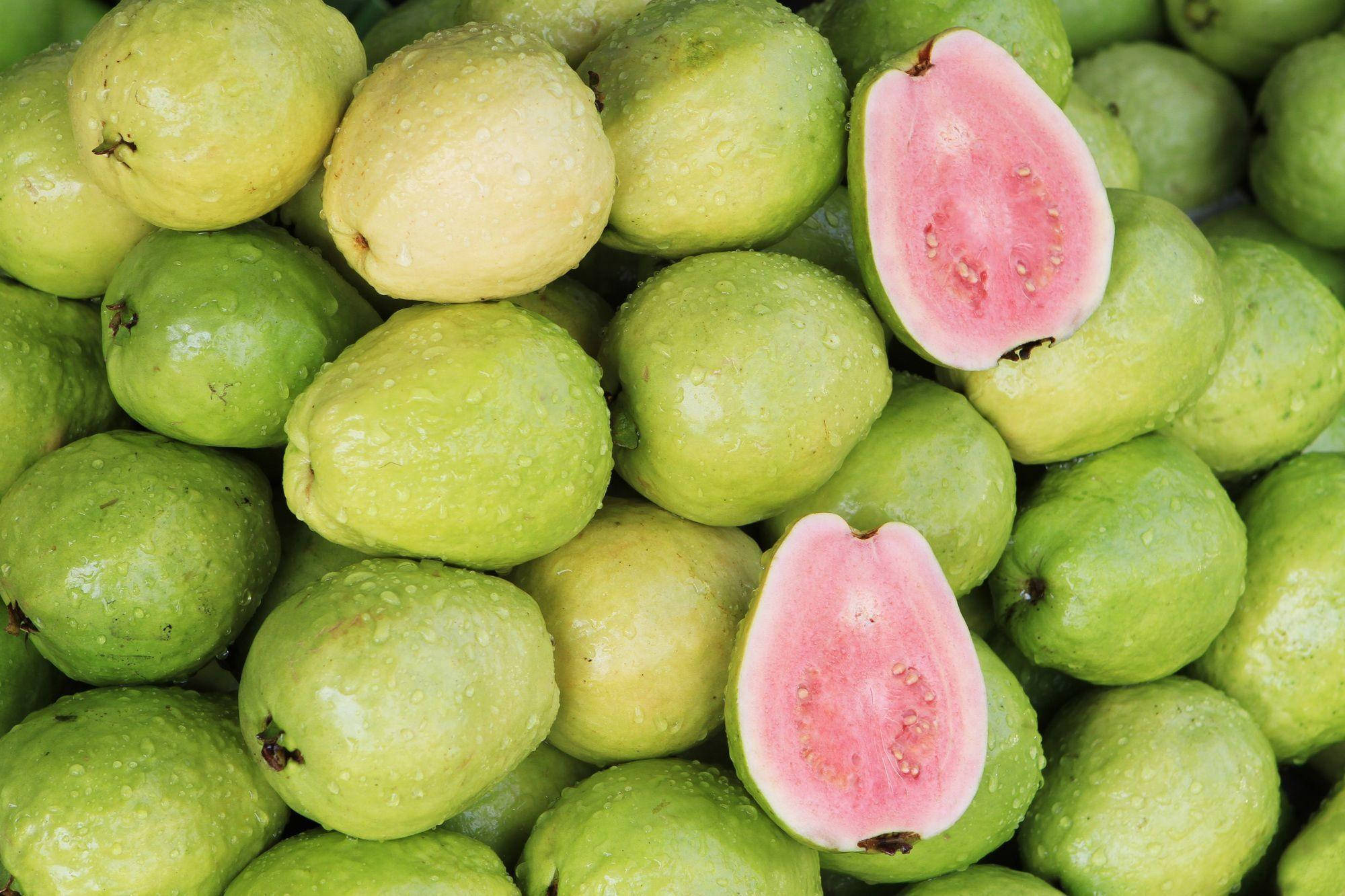 guava, green guava, dew drops, Full HD Desktop Wallpaper