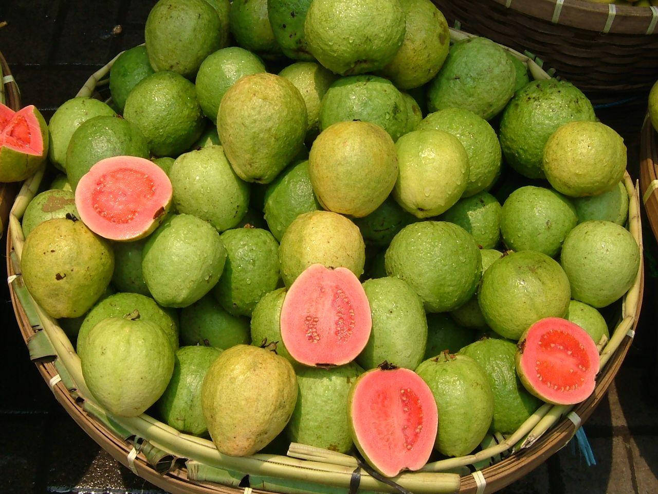 basket, guava, green guava, HD Desktop Wallpaper