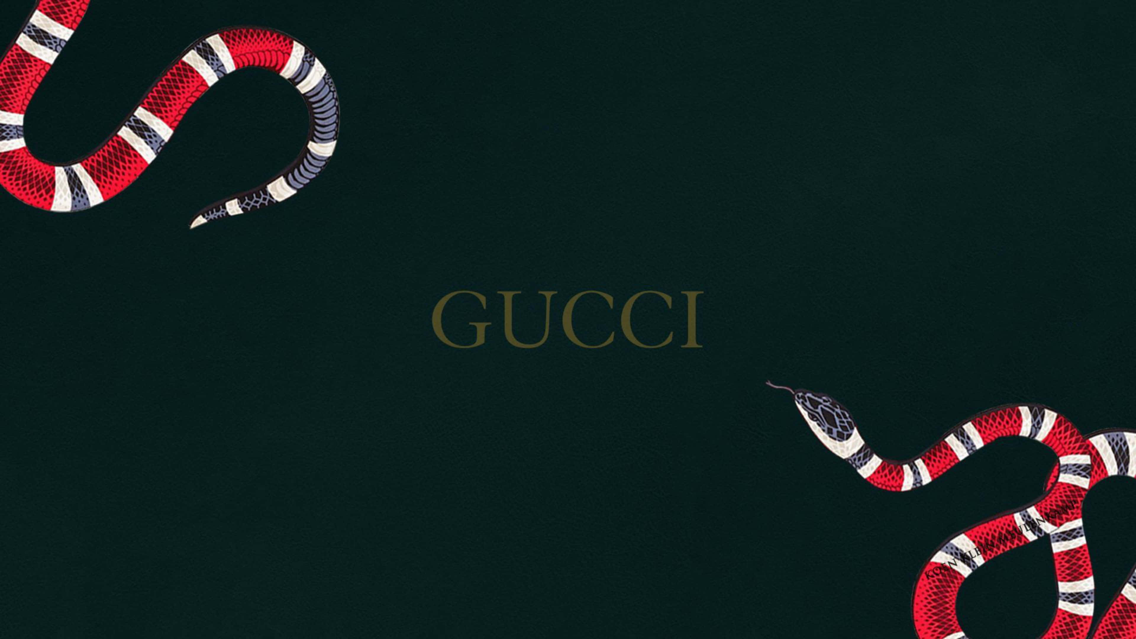 Gucci, red white and black snakes, Gucci logo, 4K Desktop Wallpaper