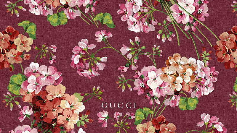 Gucci, light maroon floral, vibrant pink peach and coral geraniums, SD Desktop Wallpaper