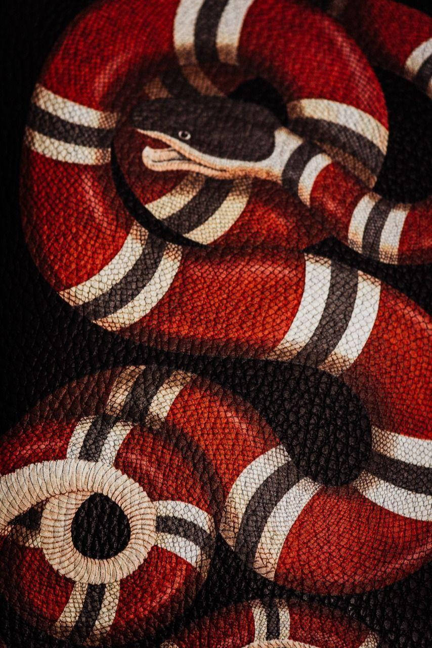 Gucci, designer snake logo, red black and white striped, HD Phone Wallpaper