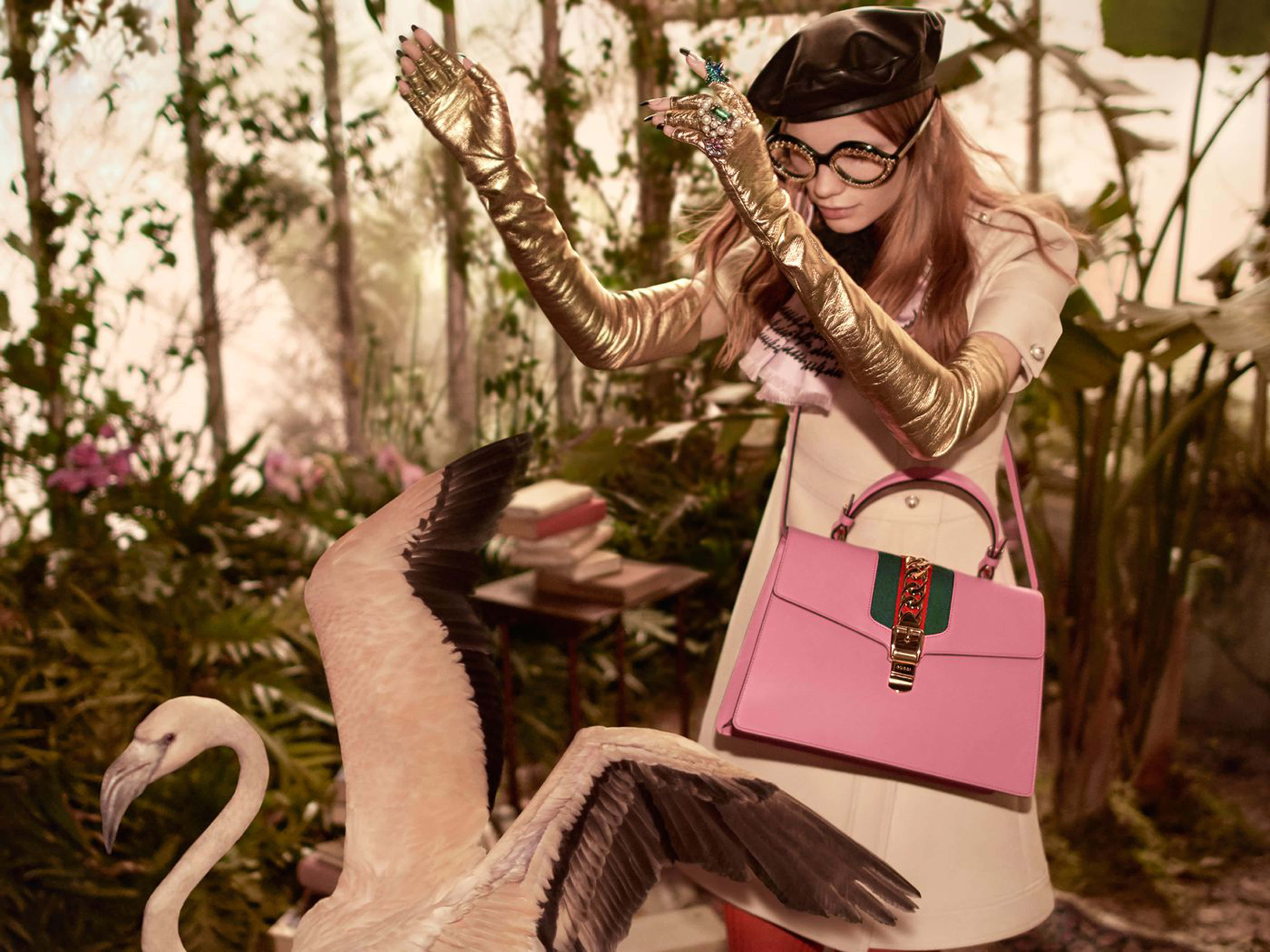Gucci, pink flamingo, gold gloves, 5K Desktop Wallpaper