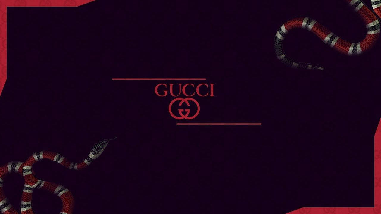 Gucci, dark purple Gucci logo, red white and black striped snakes, HD Desktop Wallpaper