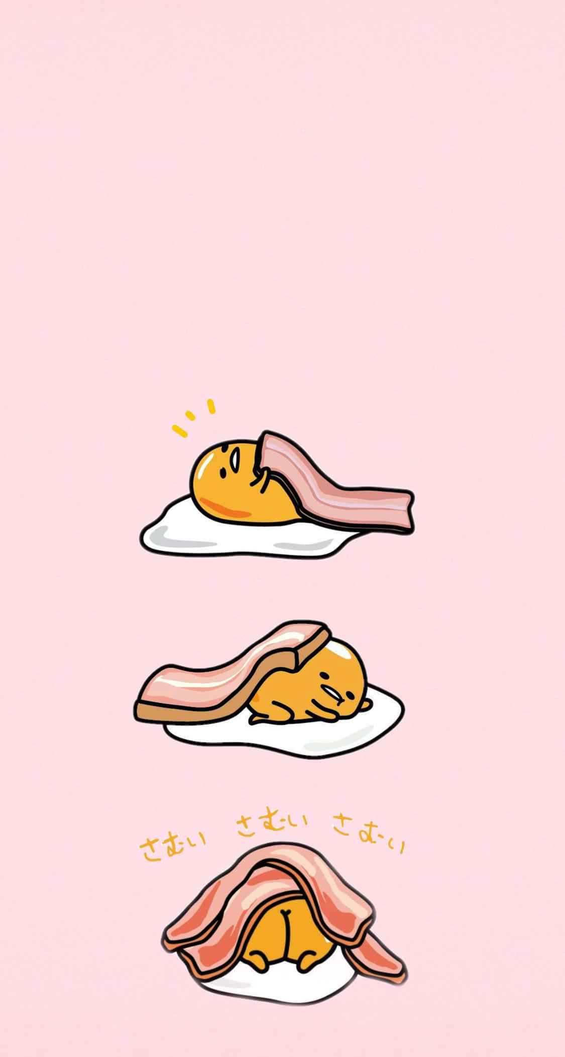 Gudetama, fried egg, bacon, Full HD Phone Wallpaper