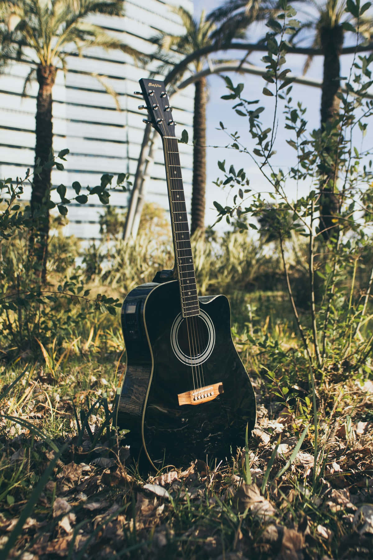 black acoustic guitar, sunlit grass, palm trees, HD Phone Wallpaper