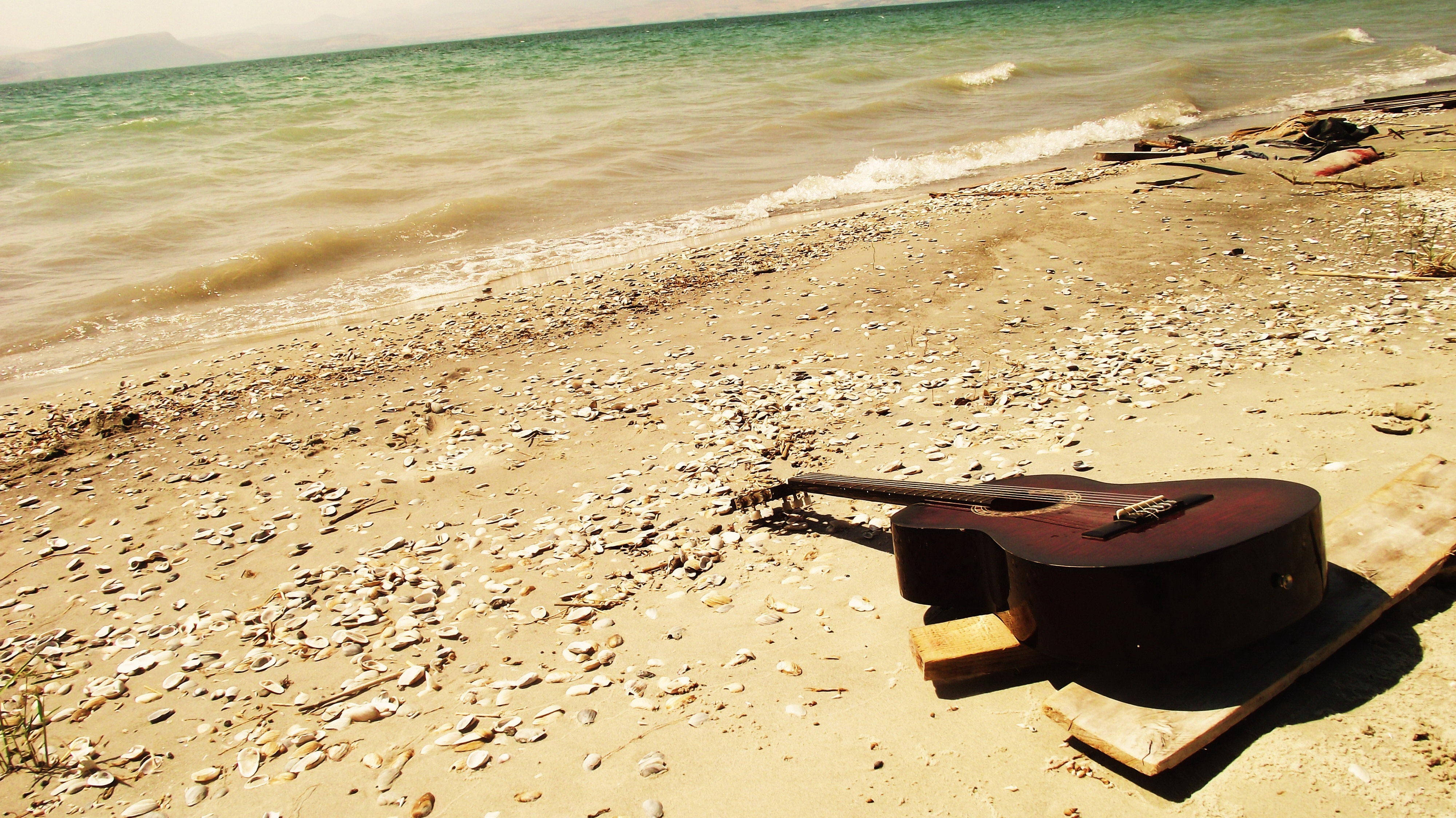 dark acoustic guitar, weathered wooden board, scattered seashells, 4K Desktop Wallpaper
