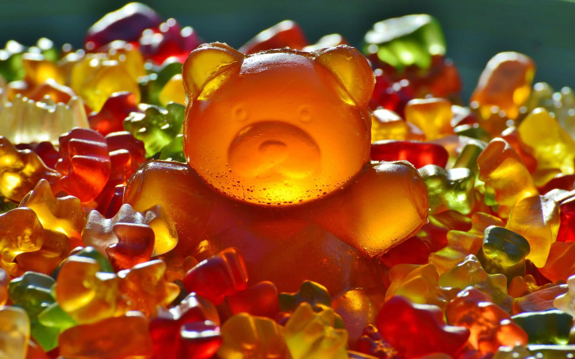 Gummy Bear, translucent amber, colorful gummy candies, Full HD Desktop Wallpaper