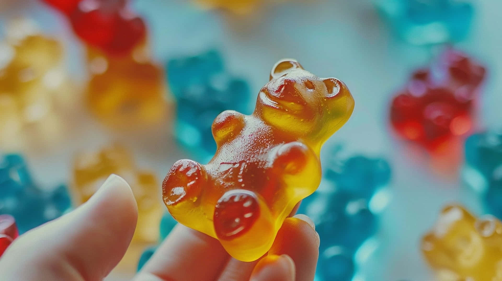 translucent amber gummy bear, colorful bears, hand, Full HD Desktop Wallpaper