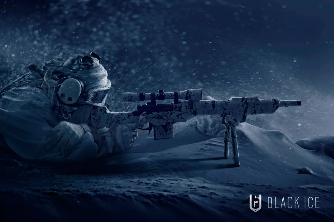 Gun
