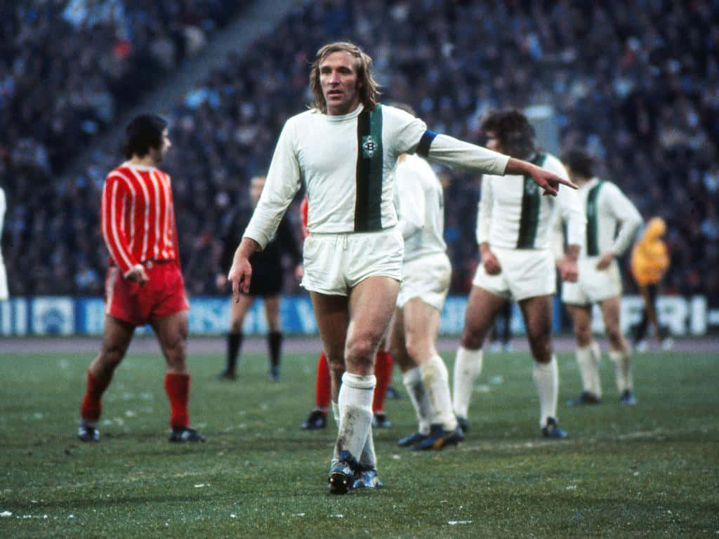 Gunter Netzer, white and green stripes, grass pitch, SD Desktop Wallpaper