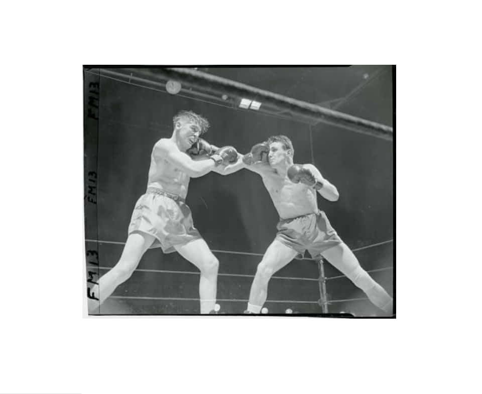 Gustav Scholz, boxing ring, black and white, SD Desktop Wallpaper