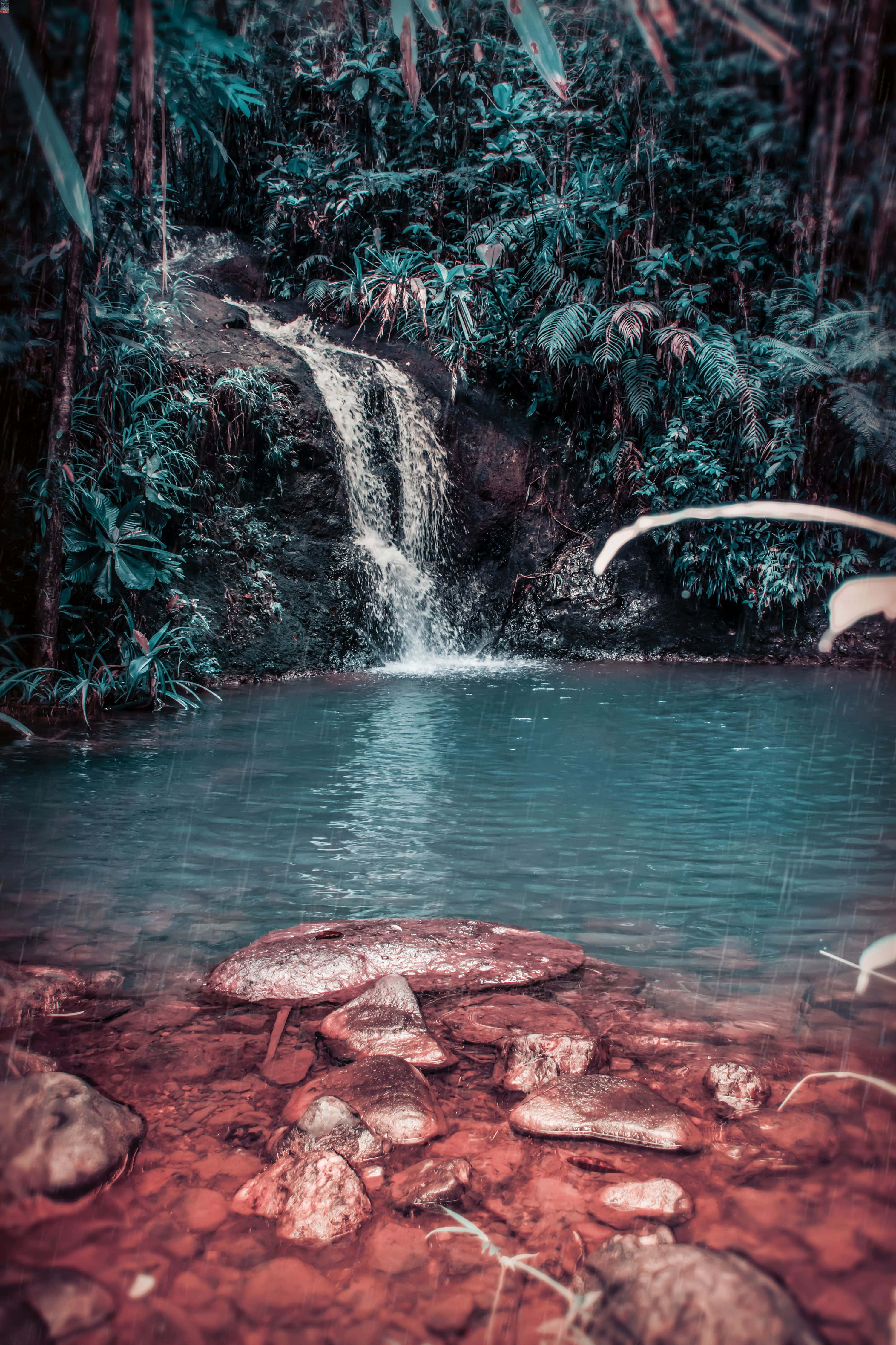 tropical waterfall, Guyana, turquoise pool, 4K Phone Wallpaper