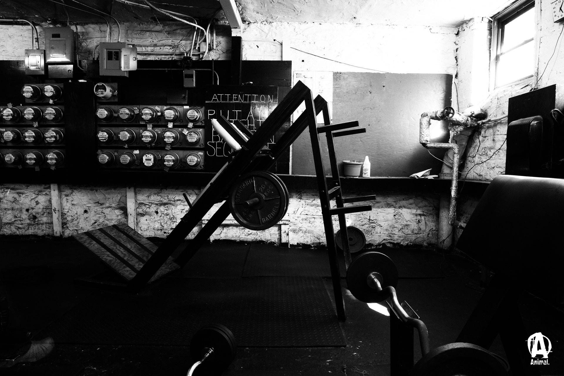 gym, black and white, rusted weights, Full HD Desktop Wallpaper