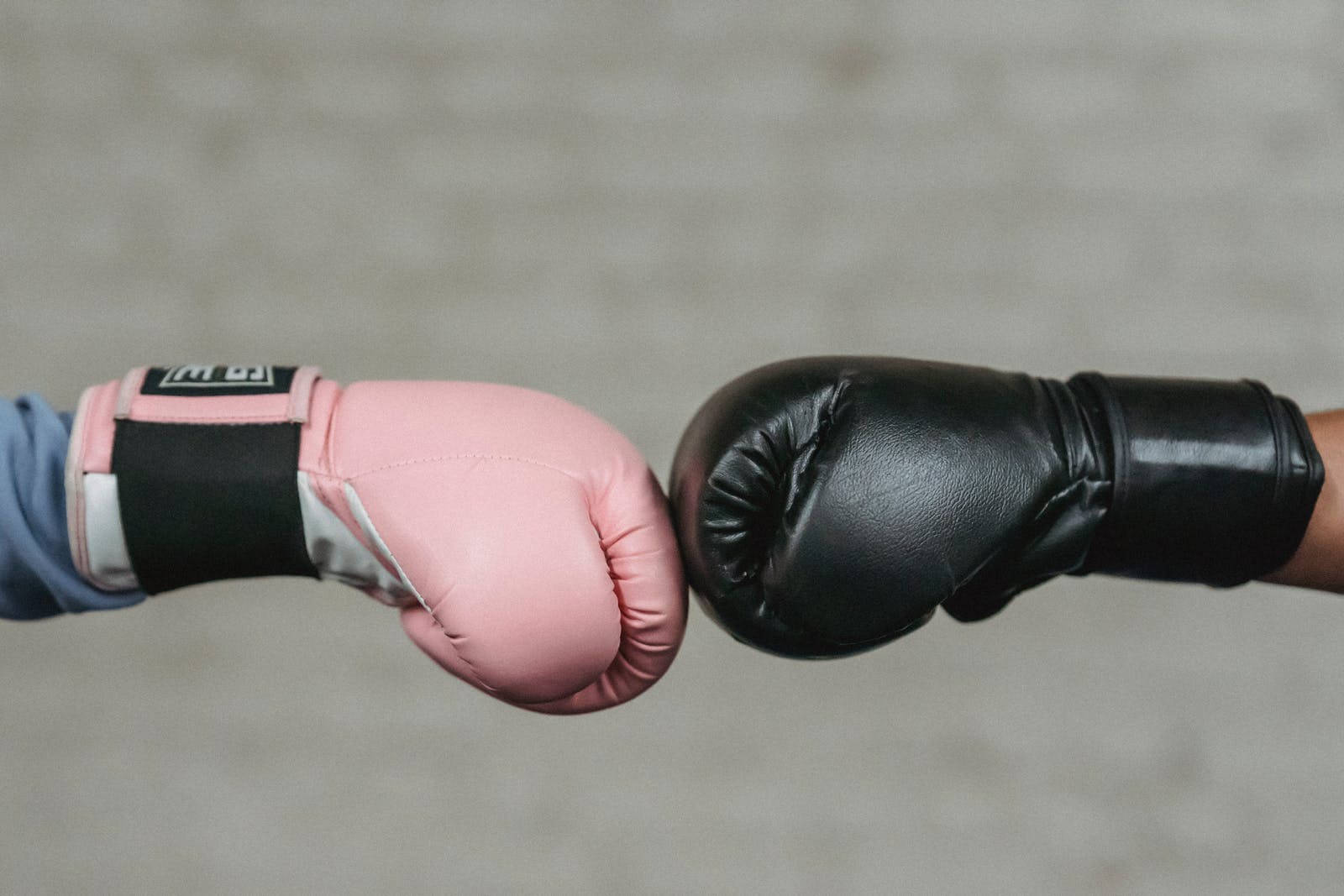 pink boxing gloves, black boxing gloves, tense standoff, HD Desktop Wallpaper