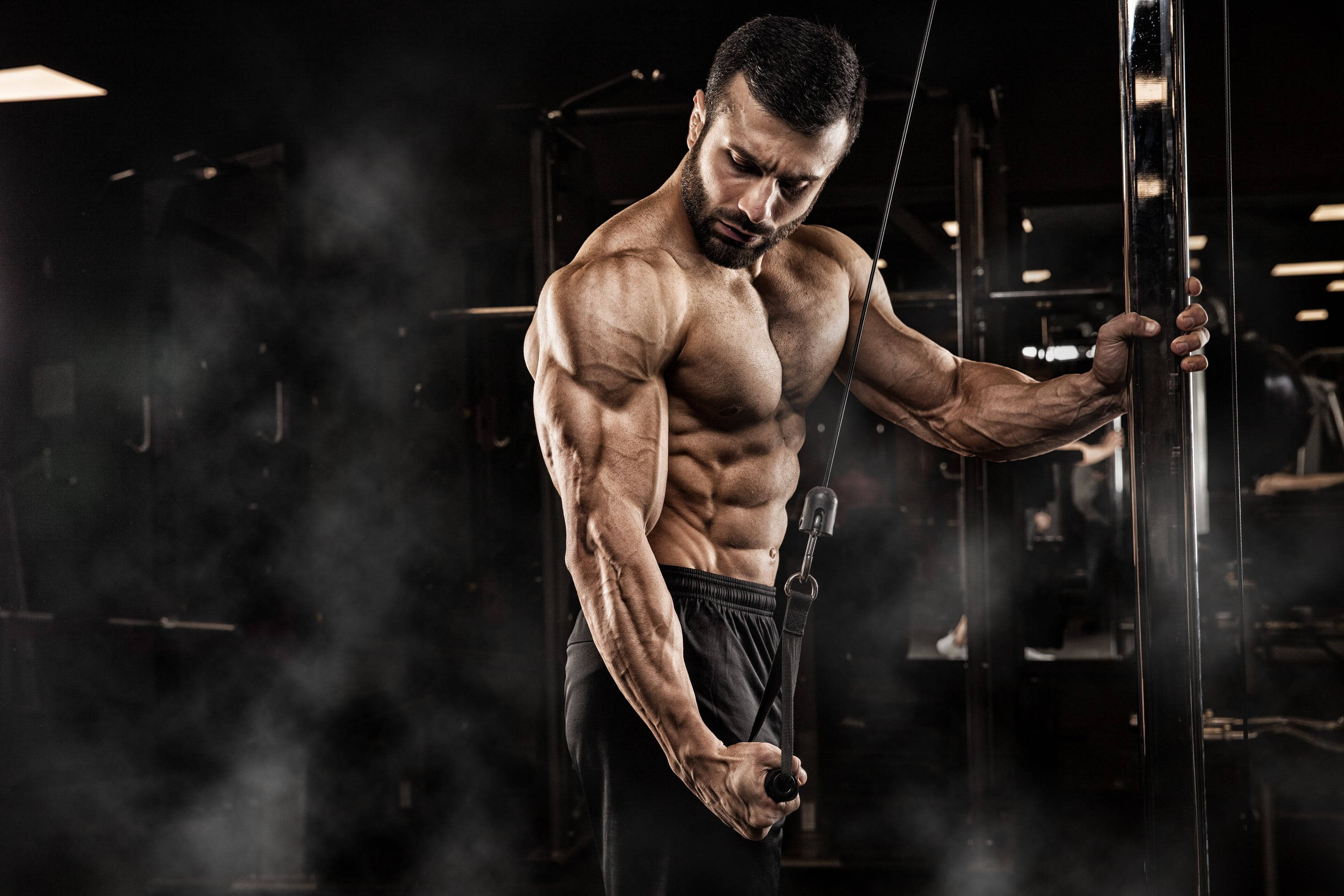 muscle man, single arm tricep pushdown, cable machine, 2K Desktop Wallpaper