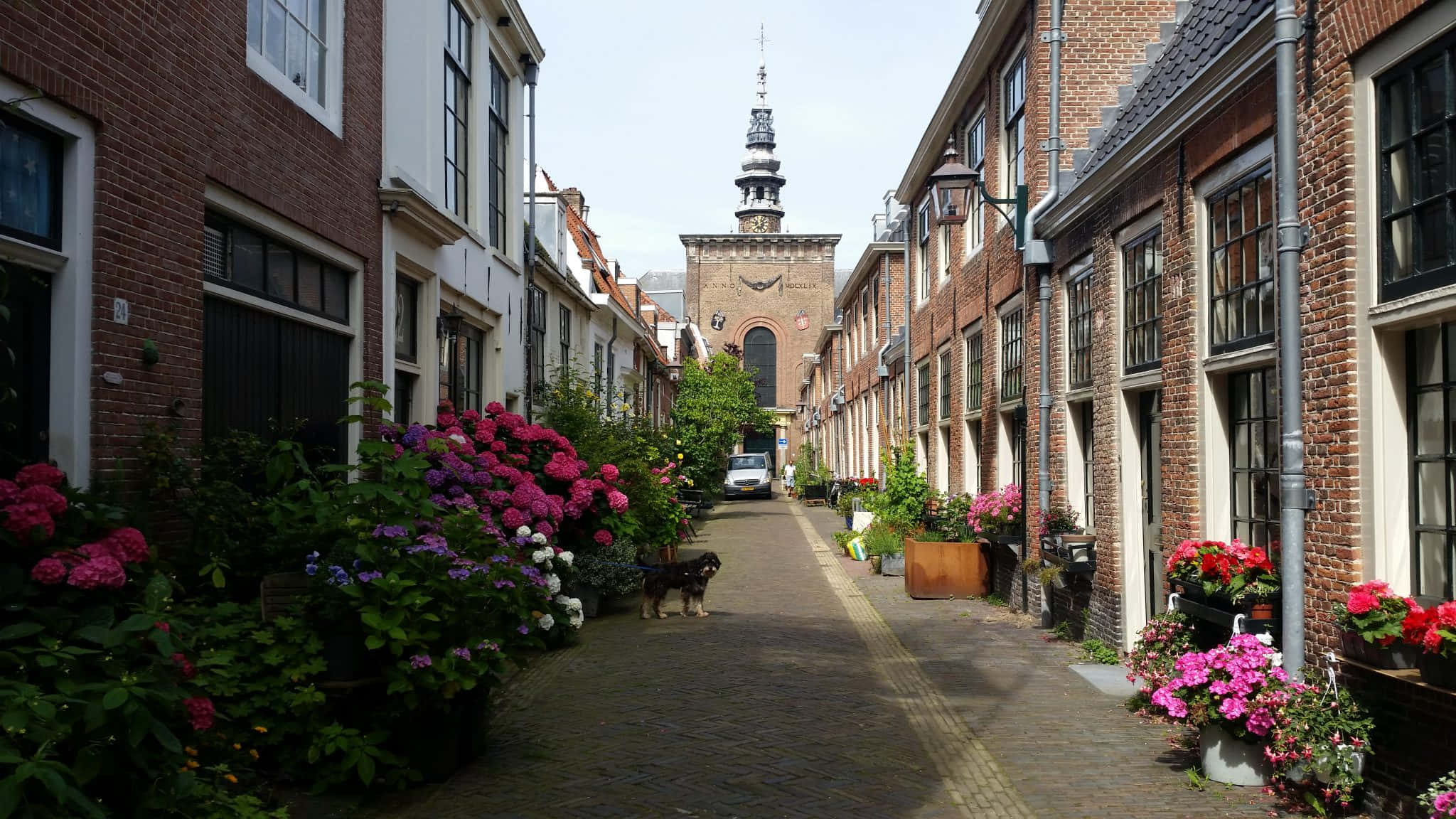 Haarlem, cobblestone alleyway, brick buildings, Full HD Desktop Wallpaper