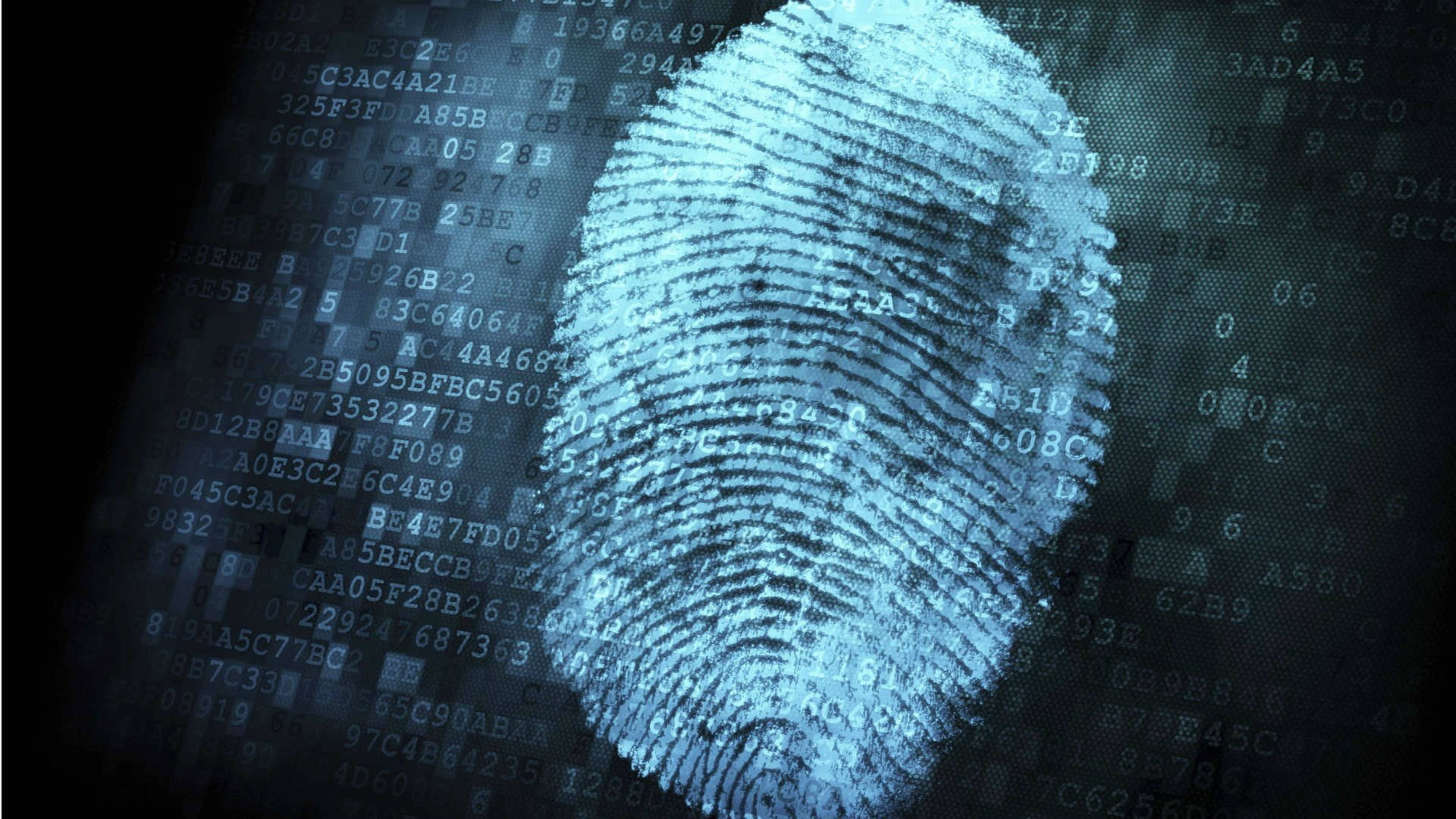 thumbprint, computer script, glowing blue fingerprint, 4K Desktop Wallpaper