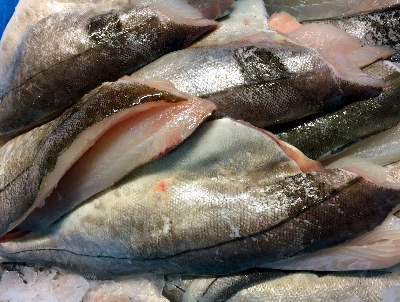 Haddock, silver scales, pink flesh, HD Desktop Wallpaper
