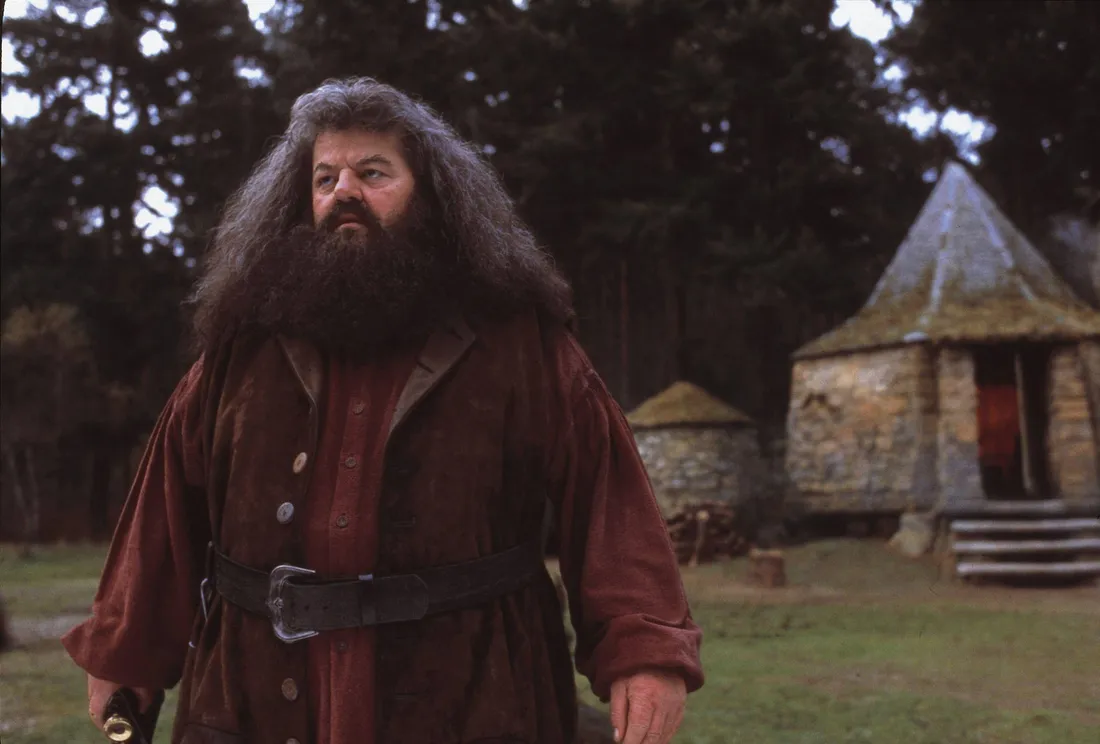 Hagrid's Hut