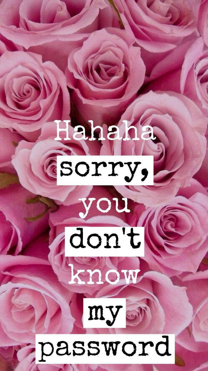roses, soft pink roses, white text overlay, HD Phone Wallpaper