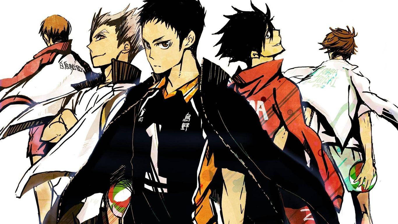 Haikyuu Aesthetic, volleyball team captains, anime volleyball players, HD Desktop Wallpaper