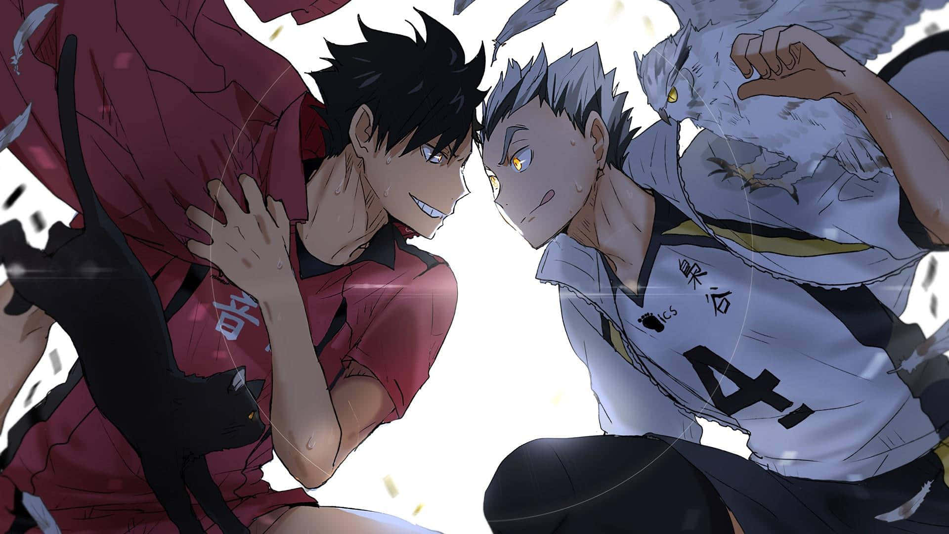 Haikyuu Captains, anime volleyball players, glowing eyes, Full HD Desktop Wallpaper