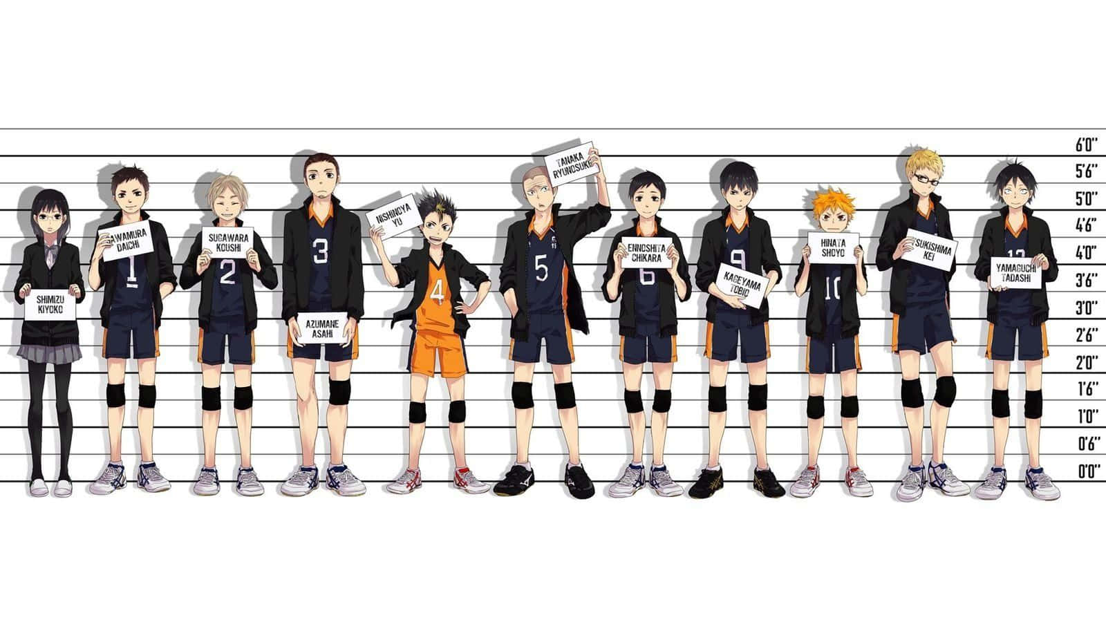 Haikyuu Captains, anime volleyball team members, height chart lineup, HD Desktop Wallpaper
