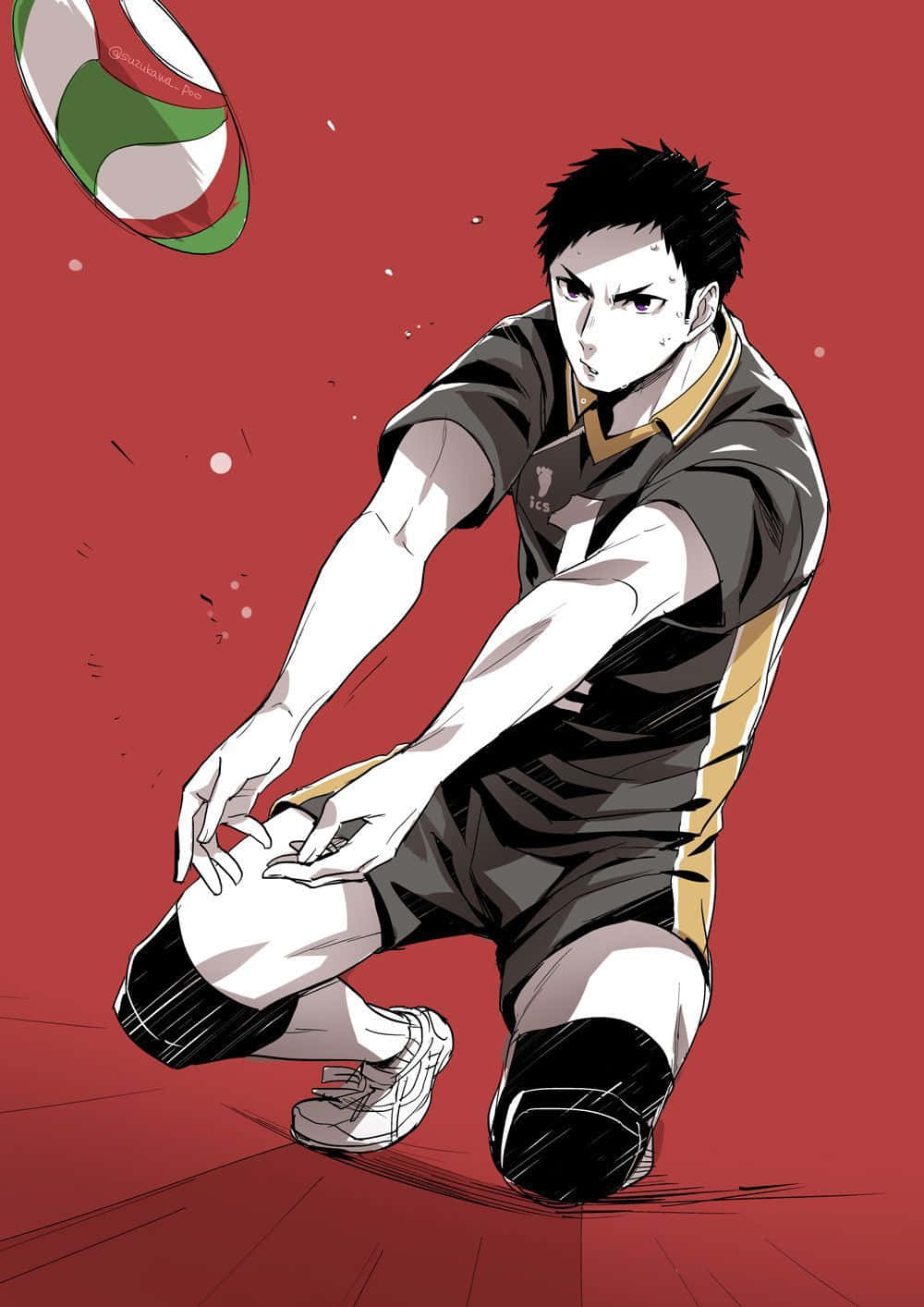 Haikyuu Captains, black and gold uniform, green and white ball, HD Phone Wallpaper